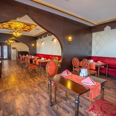 Stella Ultra 5* オクルカラール