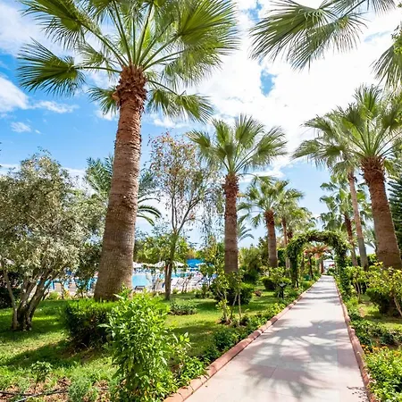 Resort Stella Ultra Okurcalar