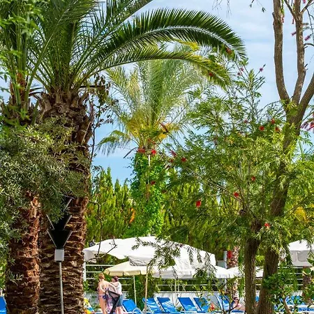 Stella Resort