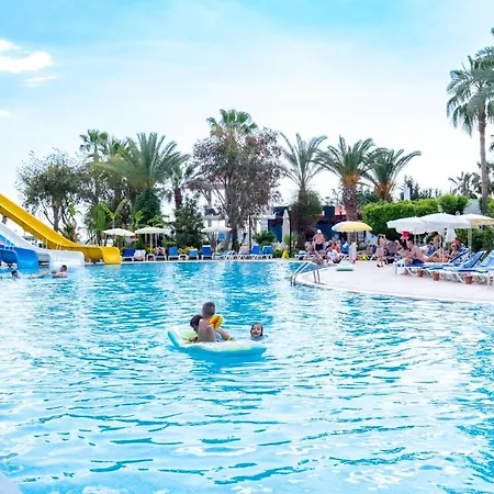 リゾート Stella Ultra オクルカラール